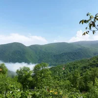 ویلا دوخوابه جنگلی جواهرده ویو جنگل