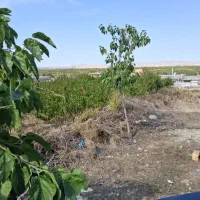 زمین حاشیه بلوار مدرس۲۰۰۵