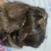 کلاه روسی پوست اصل