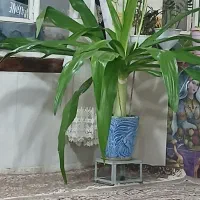 فروش در کلاته عرب