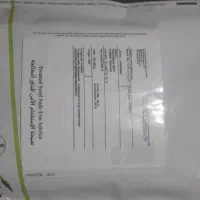 بذر کدو|گل و گیاه طبیعی|عنبرآباد, |دیوار