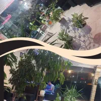 ارائه خدمات جشن تولد و مهمانی کافه نوژان