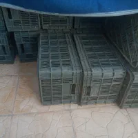 سبد گوجه جنس خوب.