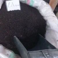 چای ممتاز بهاره