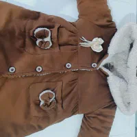 موکت|موکت|اسلام‌‌آباد غرب, |دیوار