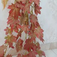گلدان سه پایه فلزی|گل و گیاه طبیعی|تهران, مینای شمالی (مخبر)|دیوار