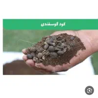 کود گوسفندی درجه یک