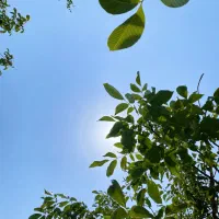 معرفی اموزشگاه کنکور