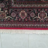 دو تخته فرش نگین مشهد طرح ریزماهی|فرش|کرمانشاه, |دیوار