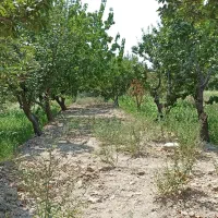 باغ-چهار-دیوار-1250-متری-باغدشت