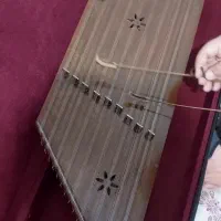 سنتور حرفه ایی