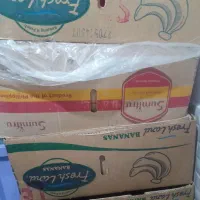 کارتن موزی سایز بزرگ