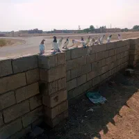 پرش سنگین|پرنده|رودبار (کرمان), |دیوار