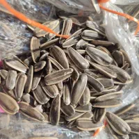 تخمه خام آفتابگردان درجه یک