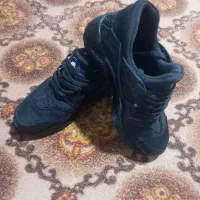 ۳ جفت کفش مارک و اصلی برشکا،نایک،و۴۲۴اصل|کیف، کفش، کمربند|صدرا-فارس, فاز ۱|دیوار