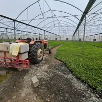 سازه گلخانه با تجهیزات کامل|عمده‌فروشی|مشهد, آیت الله کاشانی|دیوار