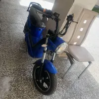 فقط نقدی حراج گنبد