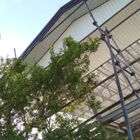 اجرای شیروانی رویال