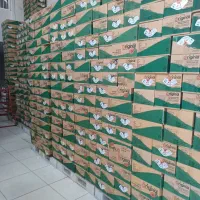 بازاریاب آقا و خانم با خودرو