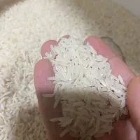 برنج‌هاشمی ۳الکه