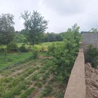 فروش زمین باغ در روستای خرم اباد (خرامو)