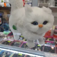 عروسکهای پولیشی