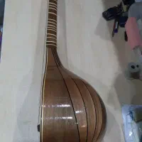 سه تار شیخ کاسه گردو|سازهای سنتی|شیراز, ارم|دیوار