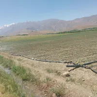 انجام لوله کشی باتیپ برای لوبیاوپیازوغیره...|خدمات باغبانی و درختکاری|دورود, |دیوار