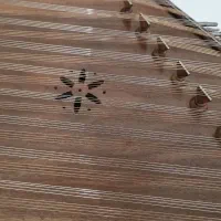 سنتور پوریا|سازهای سنتی|برخوار, |دیوار