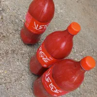 رب گوجه ی خانگی|خوردنی و آشامیدنی|بیرانوند, |دیوار