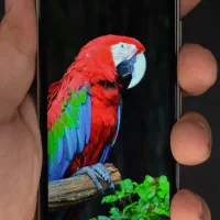 گوشی مینی قلم دار S25ultra 5g|موبایل|محمدشهر, محمدشهر|دیوار