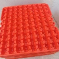 شونه بلدرچین