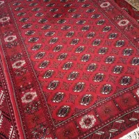 فرش|فرش|گنبد کاووس, |دیوار