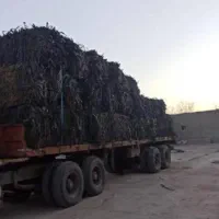 خریدار نوار قطره تیپ