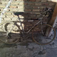 دوچرخه کورسی|دوچرخه، اسکیت، اسکوتر|سلماس, |دیوار