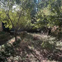 باغچه ۱۰۳۰متری زیبادشت فرخ اباد|فروش خانه و ویلا|محمدشهر, زیبادشت|دیوار