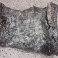 خورجین تازه|گلیم، جاجیم، گبه|شیروان (خراسان), |دیوار