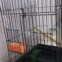 فروشی|لوازم جانبی حیوانات|سرپل ذهاب, |دیوار