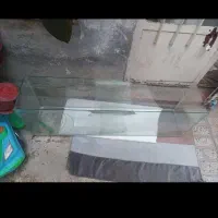آکواریوم