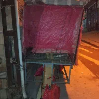 چرخ میوه فروشی