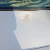 خودرو سواری|خودرو سواری و وانت|ری, علایین|دیوار