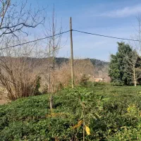 ۲۳۰۰متر زمین کاملا مسکونی|فروش زمین و ملک کلنگی|اطاقور, |دیوار