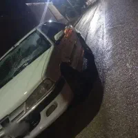 پارس مدل 1385