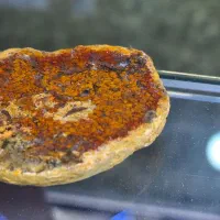 سنگ عقیق درجه ۱ معدنی و با کیفیت به صورت عمده|جواهرات|شیراز, شهرک گلستان|دیوار