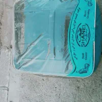 چادر  ۲۰۶
