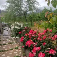 فروش-باغ-بر-جاده-اصلی-بیستون-سنقر