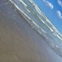 مربی خصوصی شنا