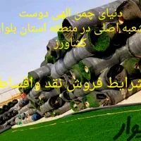 پخش چمن مصنوعی|خدمات باغبانی و درختکاری|اصفهان, محمودیه|دیوار