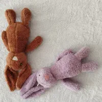 جیلی کت|اسباب‌بازی بچه|تربت‌حیدریه, طالقانی|دیوار