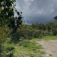 فروش فوری1700متر خانه و محوطه در لیسار|فروش خانه و ویلا|لیسار, |دیوار